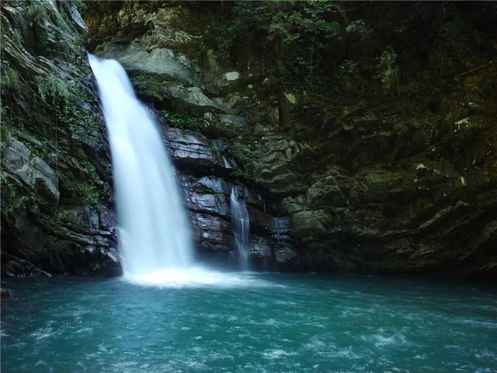 山东嘉祥：生态护鸟助旅游